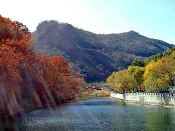 澳门二四六天天免费好材料，完本都市小说